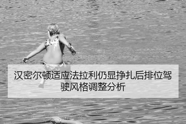 han-mi-er-dun-shi-ying-fa-la-li-reng-xian-zheng-zha-hou-pai-wei-jia-shi-feng-ge-tiao-zheng-fen-xi-2-750.jpg